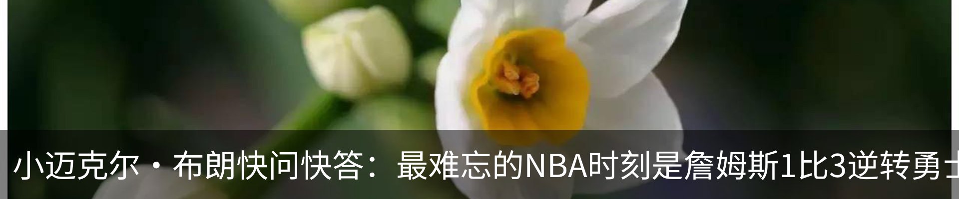 新闻中心